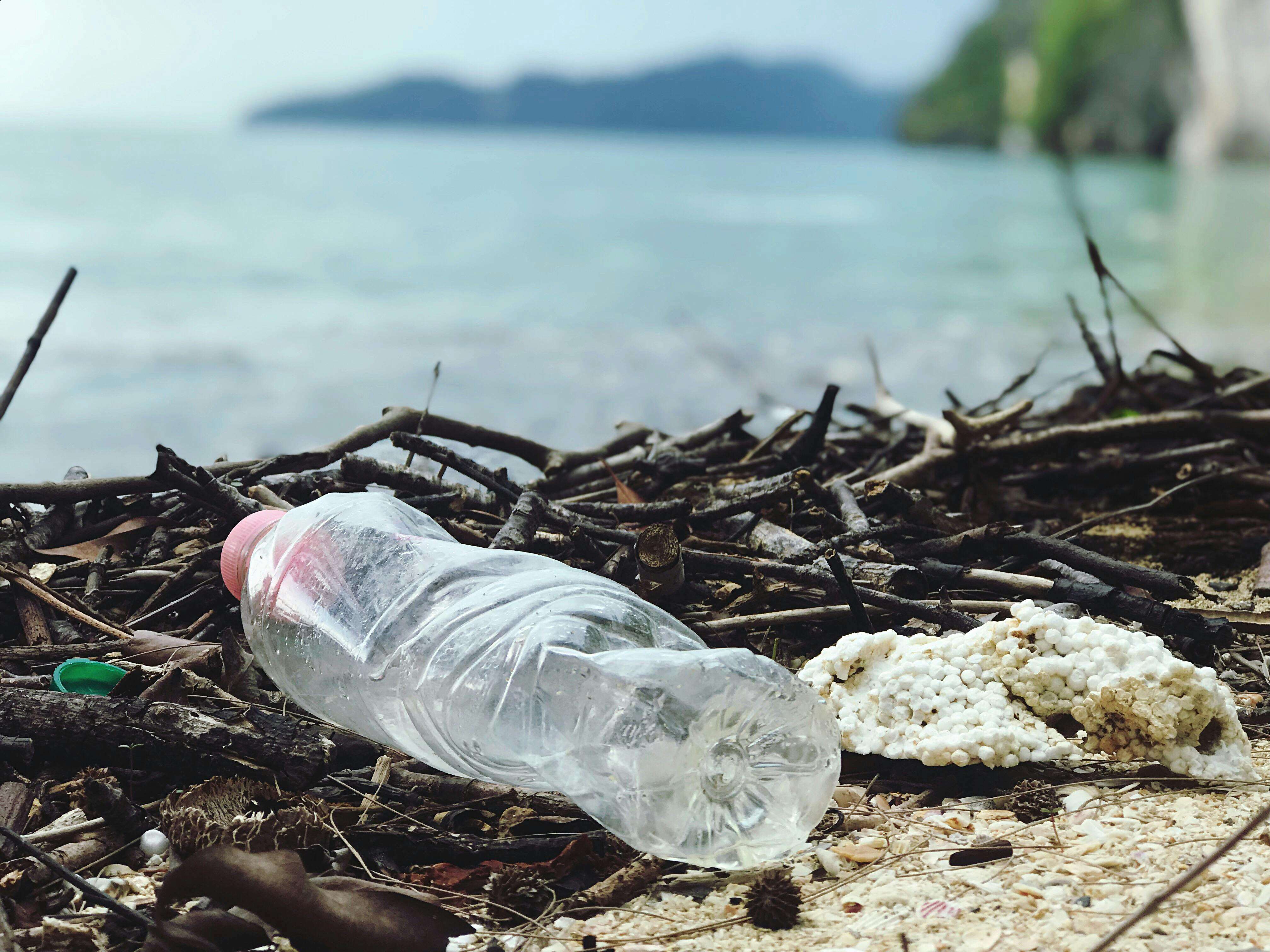 The Importance of Environmental Impact Assessments (EIA) in Sustainable Development