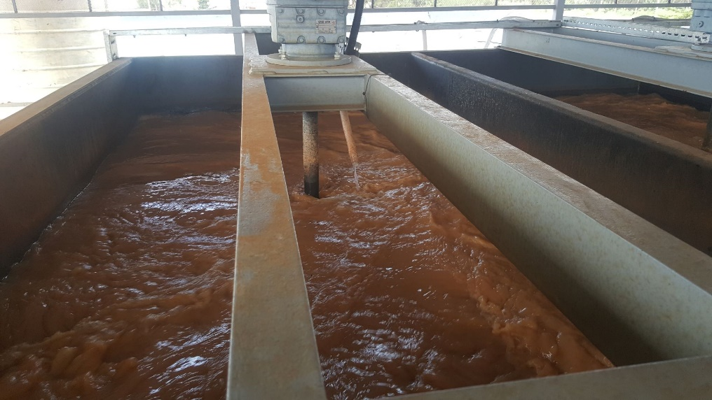 Another Product Image