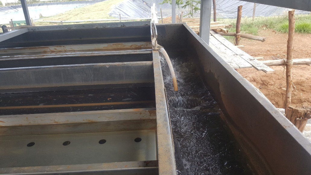 Another Product Image