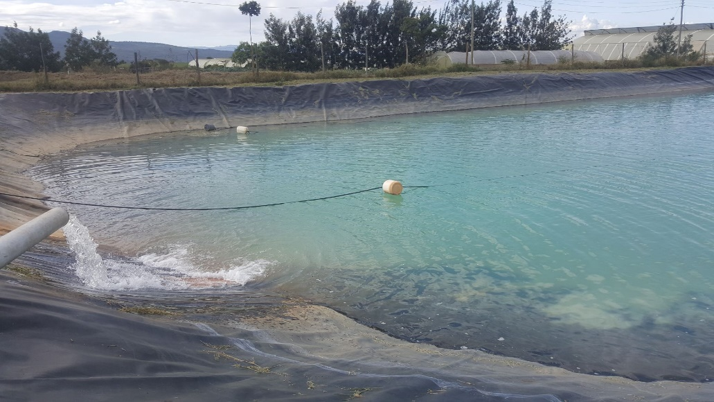 Another Product Image